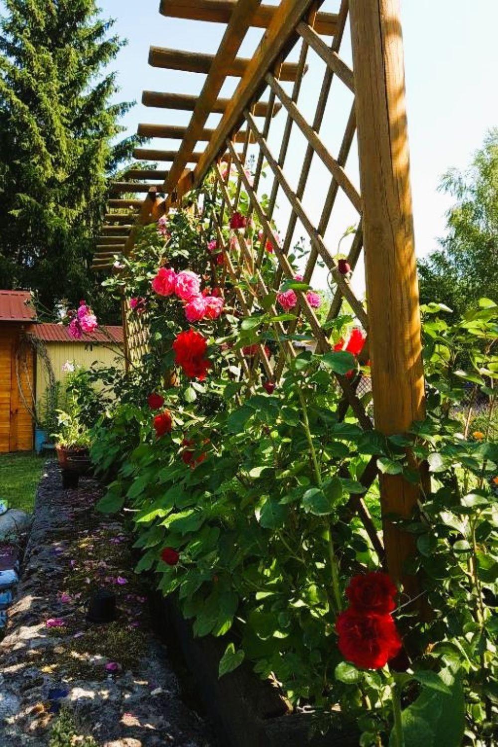Olszyna Pod Brzoza Villa Kültér fotó