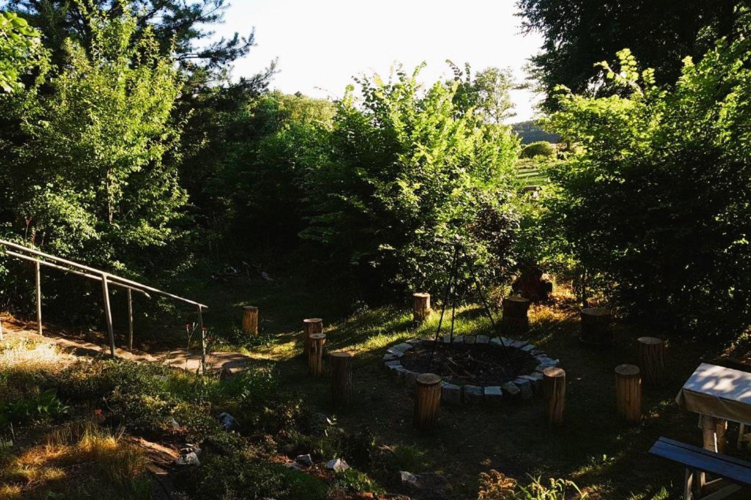 Olszyna Pod Brzoza Villa Kültér fotó