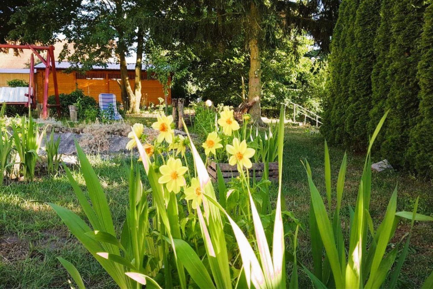 Olszyna Pod Brzoza Villa Kültér fotó
